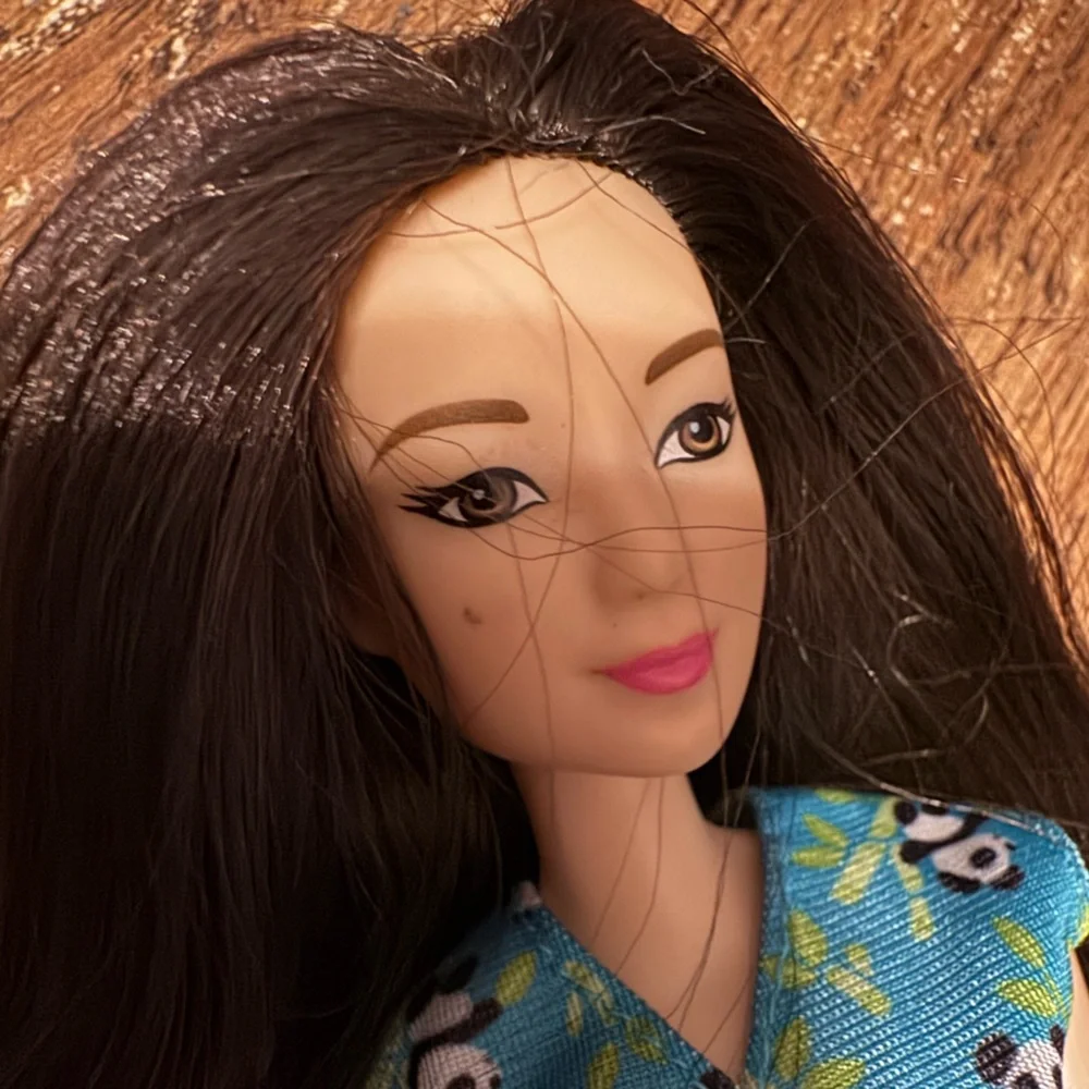 Barbie Asian doll w/ transforming pandas *replacement panda care & rescue set